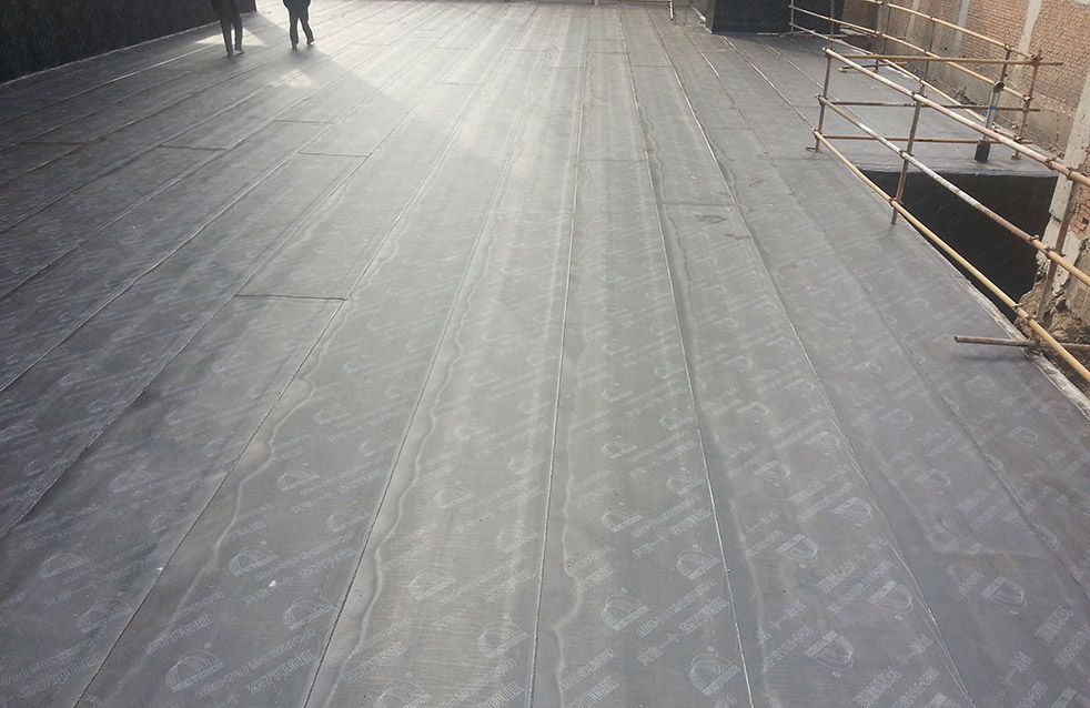 首页-HG视讯厅真人官方网站