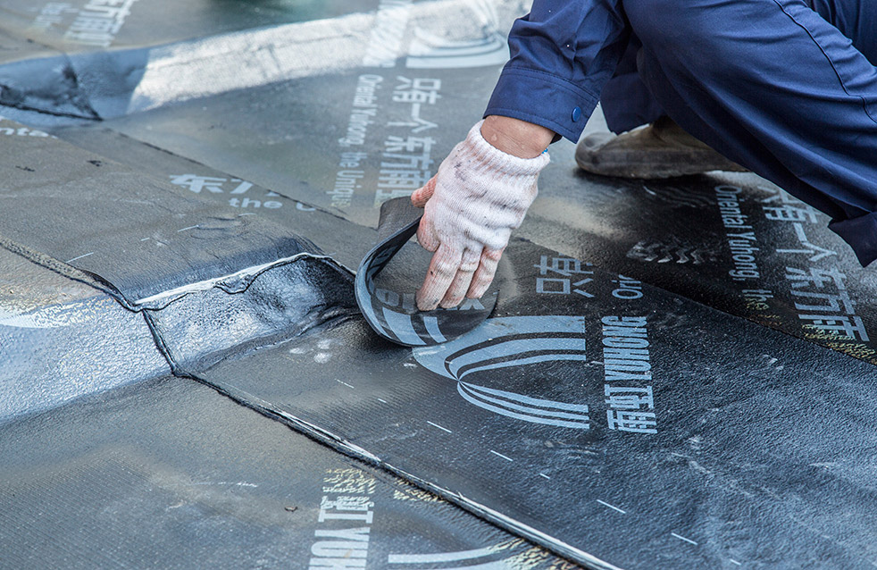 首页-HG视讯厅真人官方网站