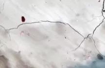 首页-HG视讯厅真人官方网站