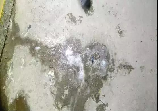 首页-HG视讯厅真人官方网站