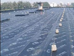 首页-HG视讯厅真人官方网站