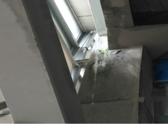 首页-HG视讯厅真人官方网站