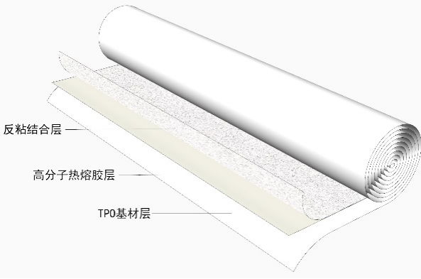 首页-HG视讯厅真人官方网站