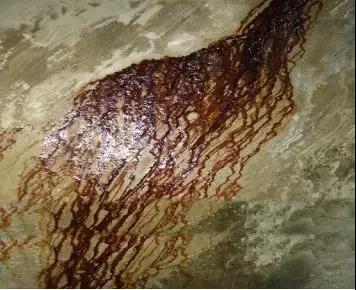 首页-HG视讯厅真人官方网站