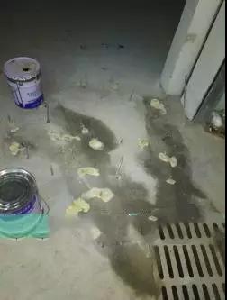 首页-HG视讯厅真人官方网站