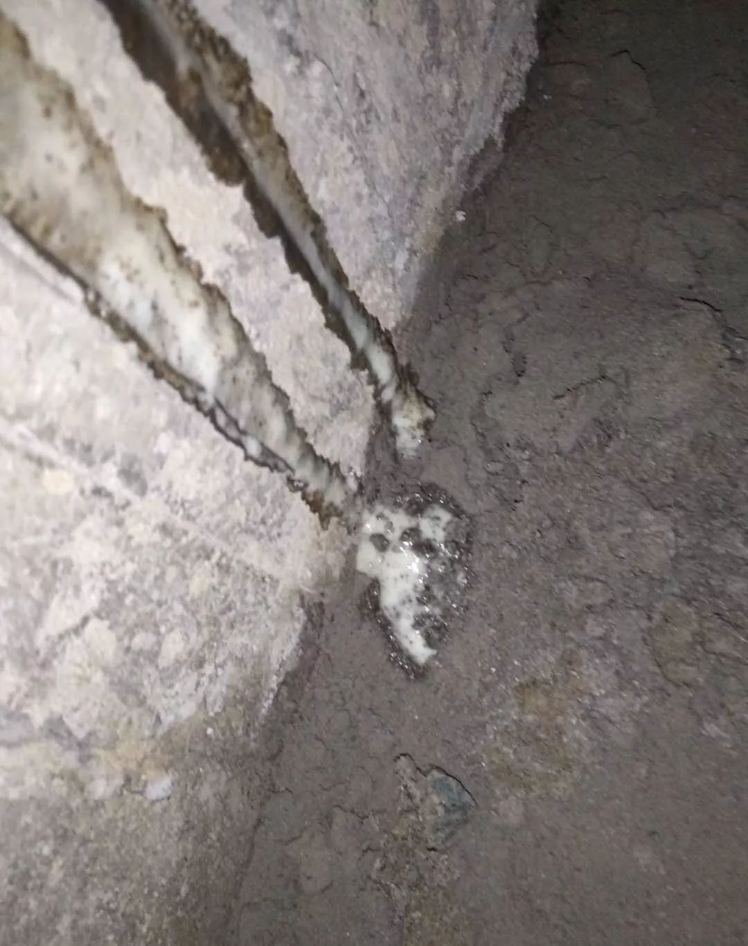 首页-HG视讯厅真人官方网站