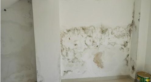 首页-HG视讯厅真人官方网站