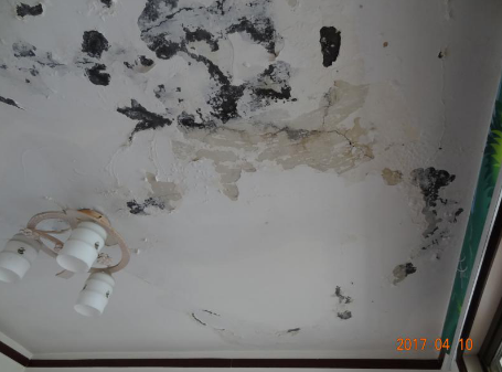 首页-HG视讯厅真人官方网站