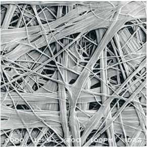 首页-HG视讯厅真人官方网站