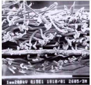 首页-HG视讯厅真人官方网站