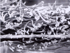 首页-HG视讯厅真人官方网站