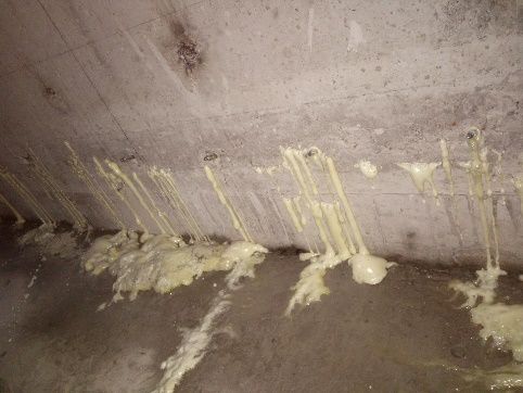 首页-HG视讯厅真人官方网站