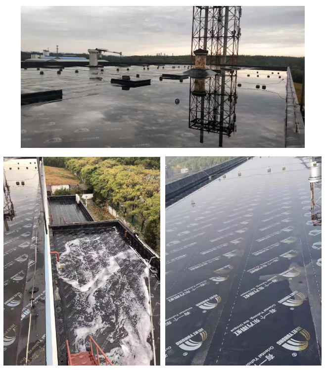 首页-HG视讯厅真人官方网站