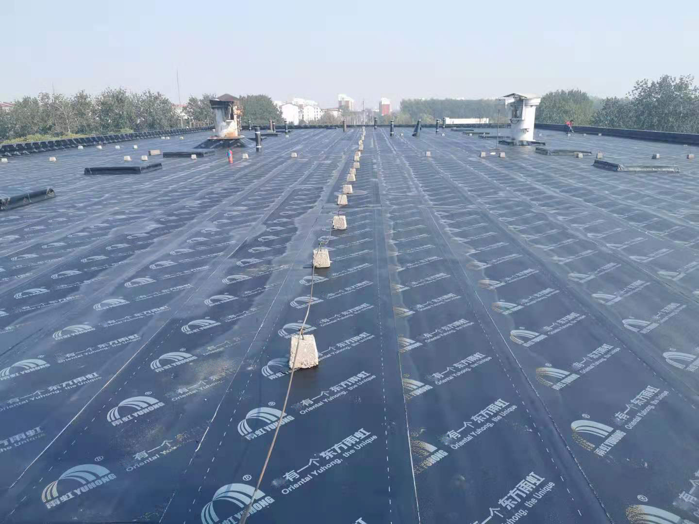 首页-HG视讯厅真人官方网站