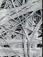 首页-HG视讯厅真人官方网站