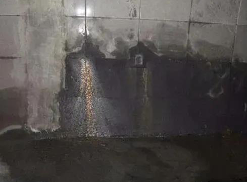 首页-HG视讯厅真人官方网站