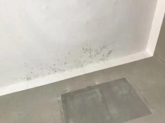 首页-HG视讯厅真人官方网站