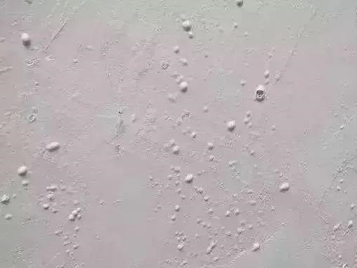 首页-HG视讯厅真人官方网站