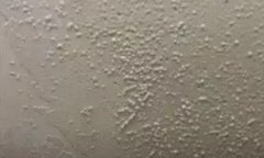 首页-HG视讯厅真人官方网站