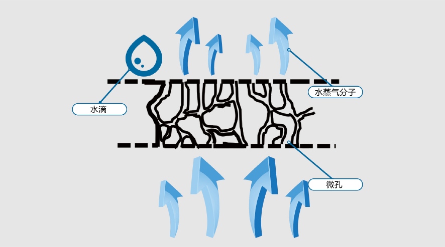 首页-HG视讯厅真人官方网站